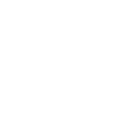 vector image
