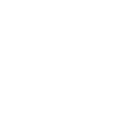 vector image